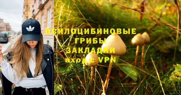 гашик Каменск-Шахтинский