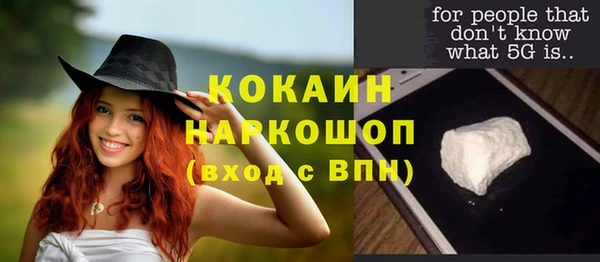 соль курить ск Каменка