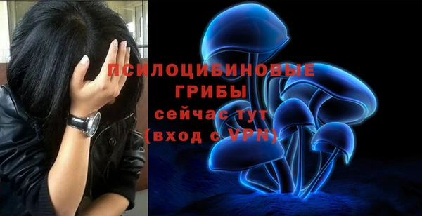 прущая мука Каменногорск